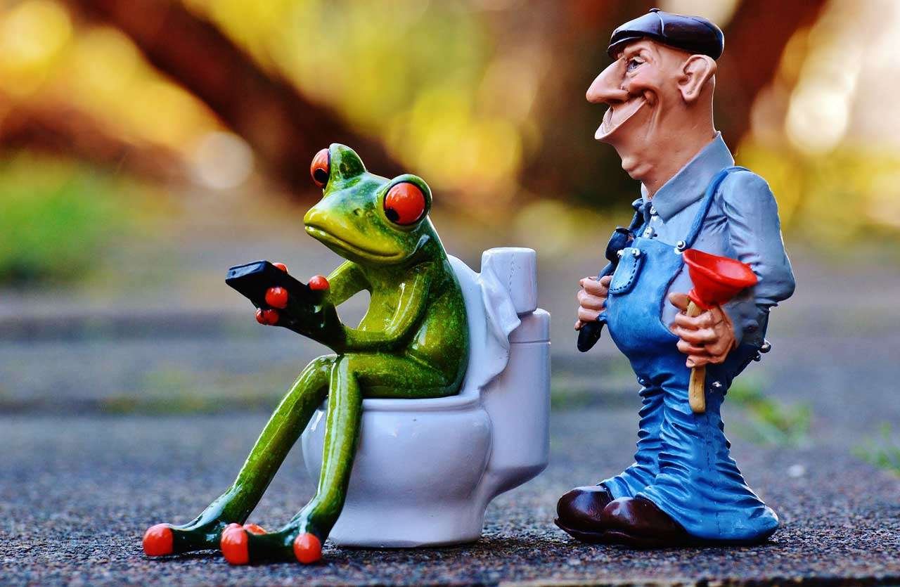 DIY Toilet Installation